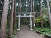 ӂ날r[̖FRnCLO̓eʐ^1