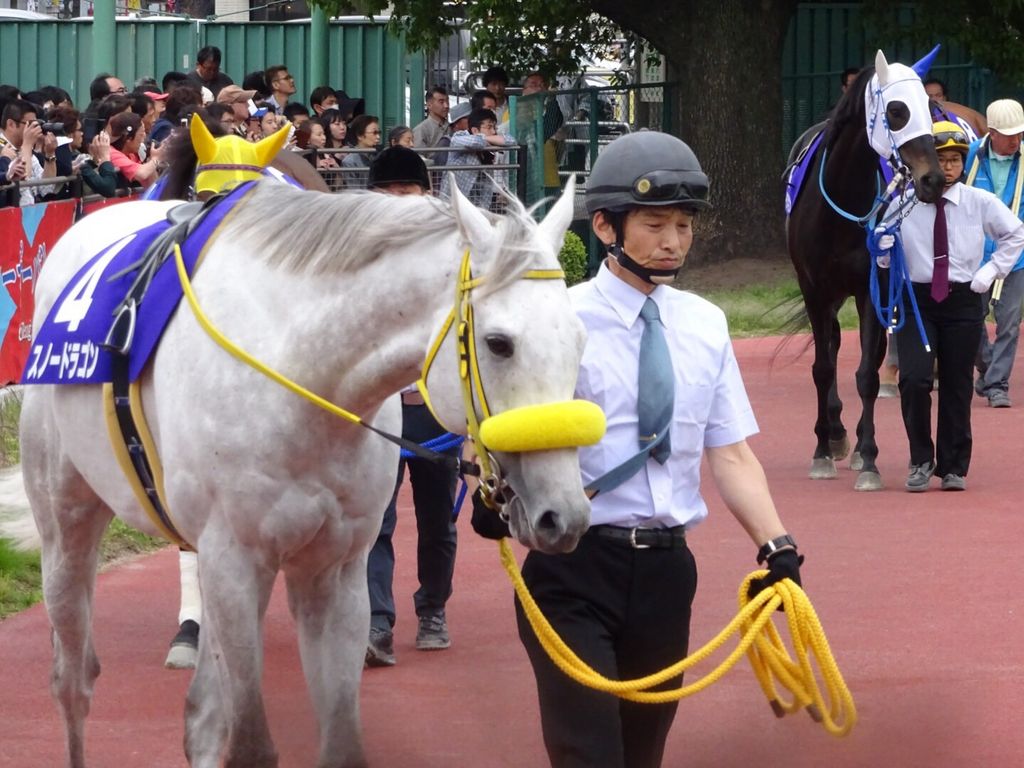 名古屋競馬場 アクセス 営業時間 料金情報 じゃらんnet