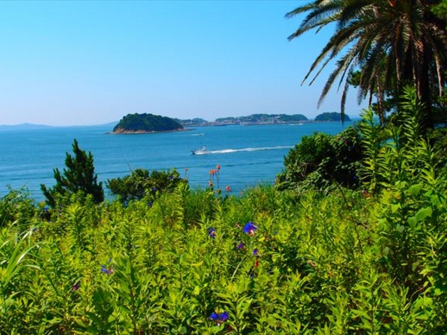 �Ă̌i�F_���ԉ꓇