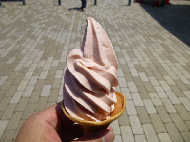 ���������\�t�g_���̉w �L��������