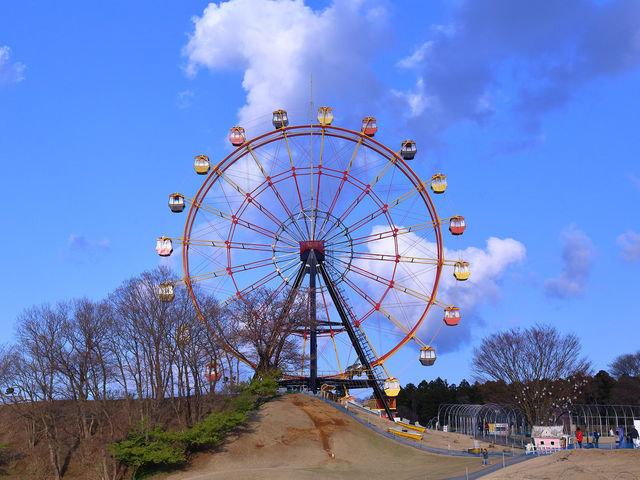 �h�C�c������]�ł���ϗ���_�����h�C�c��