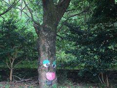 `񂳂̂Ђ߂ǂ̏ ƂׂWbvCւ̓eʐ^1