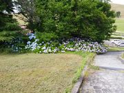 ]ˉƉL̊RnW]̓eʐ^10