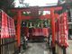 Sakamoto119さんの難波神社の投稿写真8