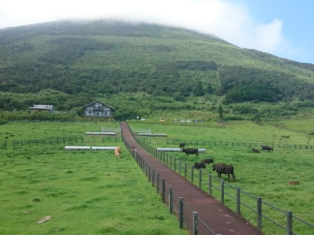 �q��̕��i_����x�m�q��E�ӂꂠ���q��