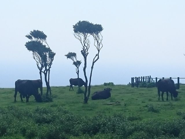 �̂ǂ��ȋ�����_����x�m�q��E�ӂꂠ���q��