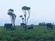 yumi̔xmqEӂꂠq̓eʐ^2