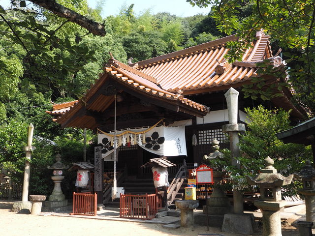 �䑳�V���{_�䑳�V���{