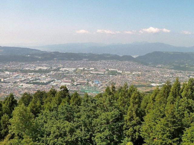 y؂̉ԑW]z̐`앗i_؂̉ԑ䉀nW]