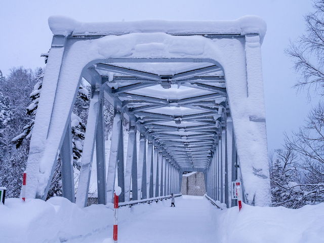 ���̋��̏ォ�������܂��B�~�G�͑������ӂŁB_���Ђ��̑�