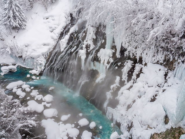 ��͉��򂪗���Ă���̂œ��C���B��͓������������C��򖗂�����t���Ă��܂��B_���Ђ��̑�