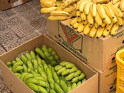 Hiro̐Ί_sݎs̓eʐ^2