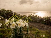 Hiro����̋v���ǃo���̓��e�ʐ^1