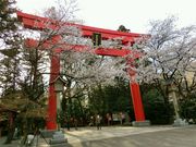 AKN510̊א_Ђ̓eʐ^1