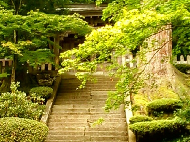 �i�����B_�����@��{�R�i����