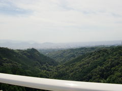 [񂳂̎OXJCEH[Nւ̓eʐ^2