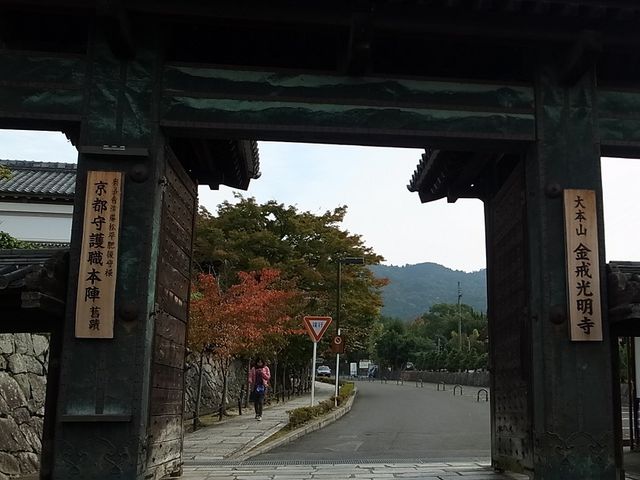 �����������i���J����j_����������