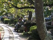 Ђł񂳂̓Nw̓̓eʐ^1