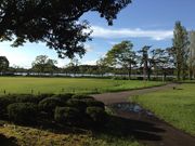 �Ă�Ă�V�傳��̐�g�����̓��e�ʐ^1