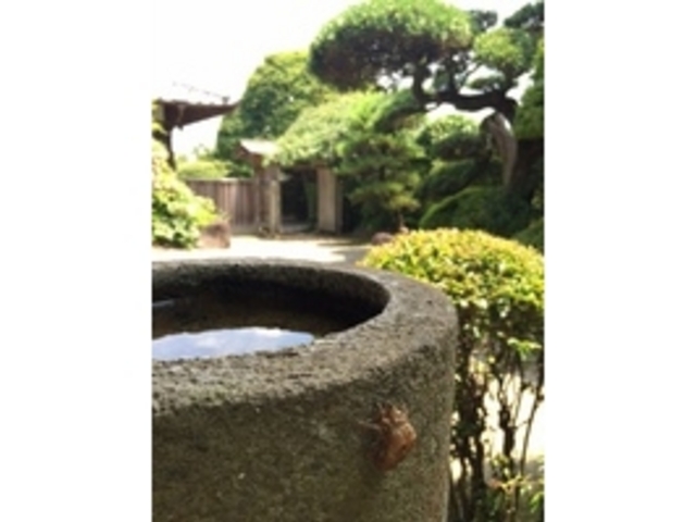 �|�Y�@ �뉀���i_�ό�����