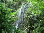 Ԃ񂳂̑̋{iѕsj̓eʐ^3