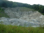 Ԃ񂳂̃z^̗EԌ̓eʐ^1