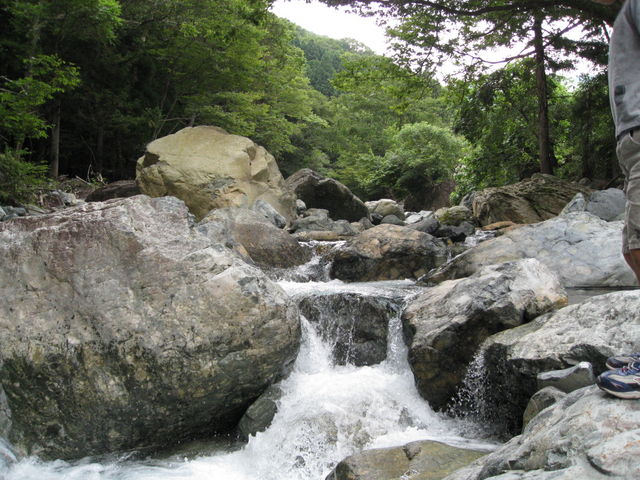 Ђł񂳂̕mkJ̓eʐ^1