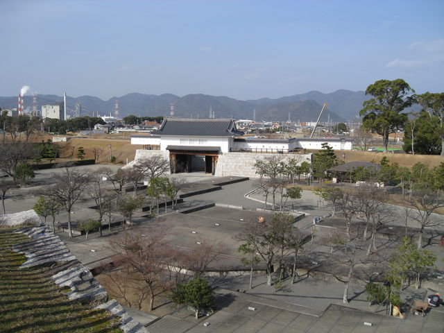 Ђł񂳂̐ԕՌ̓eʐ^1