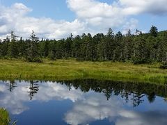 �K�[�x������̕��������ւ̓��e�ʐ^1