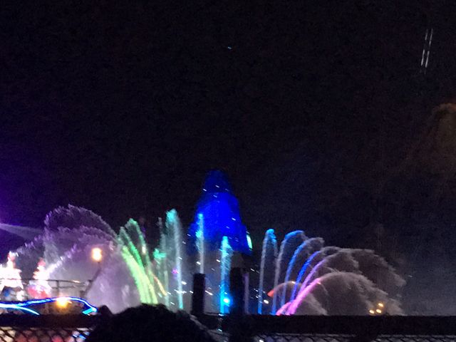 �ō��ɃL���C�ł�_�����f�B�Y�j�[�V�[(R)