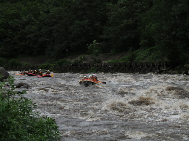 ����_�O���[���f�B�X�J�o���[�@�ԏ�