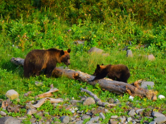 eqF킢B_SWό@JCbJN[U[mEgN[Y