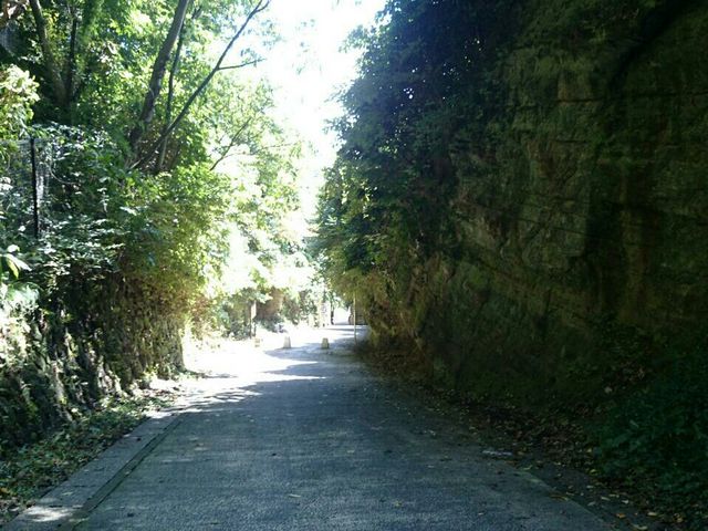 �T���J��ؒʂ�