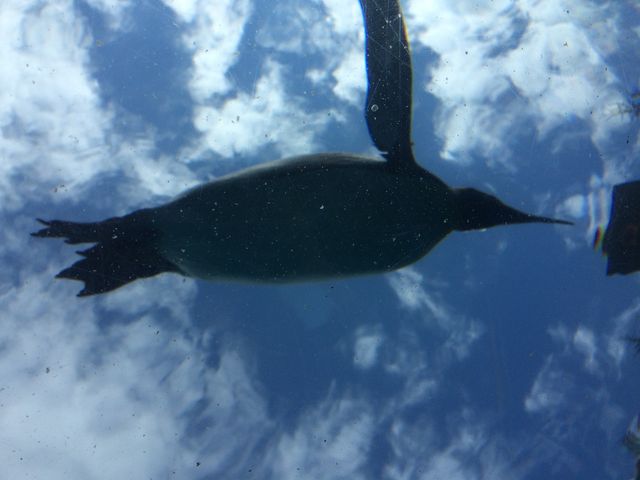 ���R������