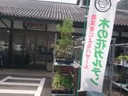 Xkv̖؂̉ԃKe̓eʐ^1