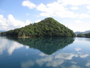 yosshy̓Ή?VD̓eʐ^3