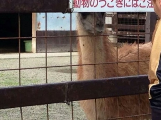 ��O���������ك��g�����[���h