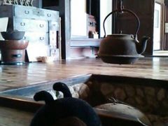 cJ擙X͂̏Zl̖Oكg[hւ̓eʐ^1