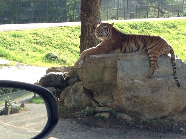 �g�����߂��ŋN���Ă܂����I_�H�g�䎩�R���������T�t�@�������h