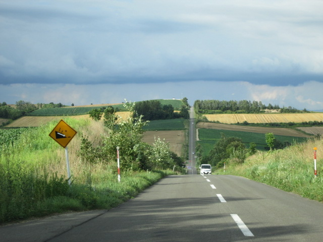 �������A�b�v�_�E���ł��ˁ`�B_�W�F�b�g�R�[�X�^�[�̘H