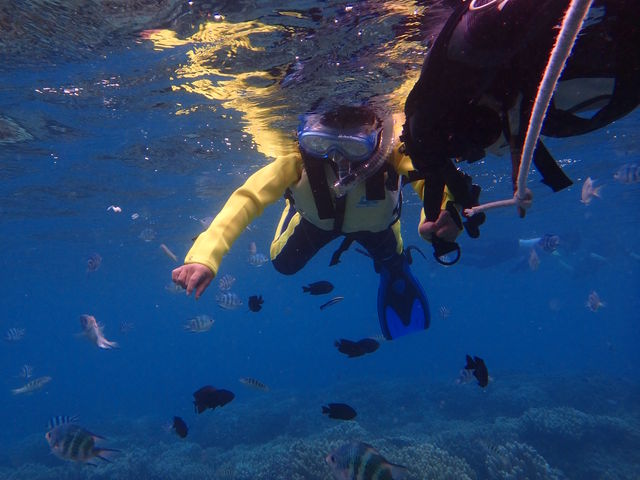 6�Α��q���y����ł܂�_���ꃊ�]�[�g��y��