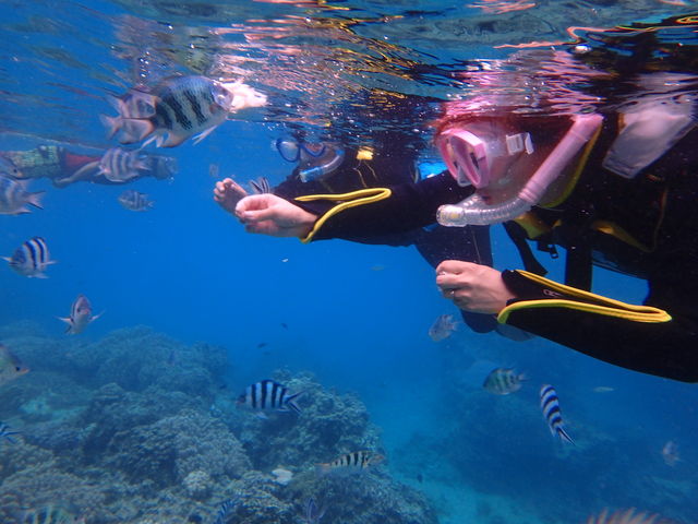 �a�t�����y���߂܂���_���ꃊ�]�[�g��y��