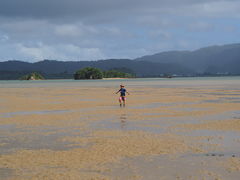 ԁ[Ԃ̉nGRc[lbgւ̓eʐ^1