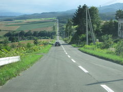 yosshỹWFbgR[X^[̘Hւ̓eʐ^1