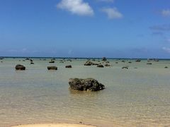 ̂񂳂greenւ̓eʐ^1