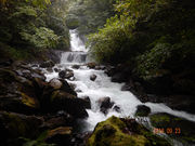 Miracle�@Boy����̂�����т̑�̓��e�ʐ^1