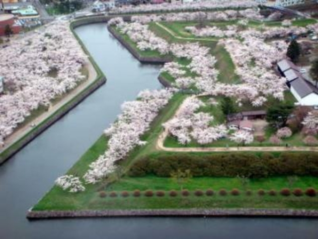 �s���N�̐��`_�ܗŊs����