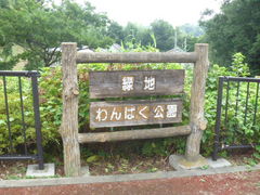 �g�V���[����̗Βn���ς������ւ̓��e�ʐ^1