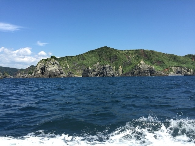 �Δ�_�ΘL�薦�߂���V���D