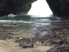 񂿂ȃIW̗{Aւ̓eʐ^1